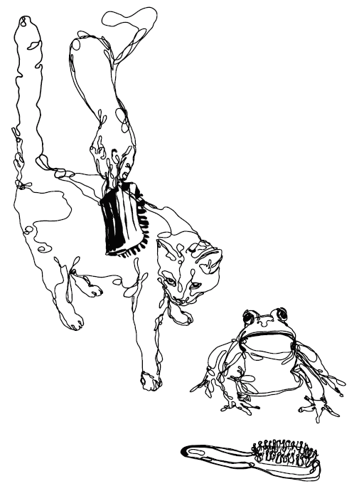 A drawing of a cat being brushed, and a frog with a brush sitting uselessly in front of it.